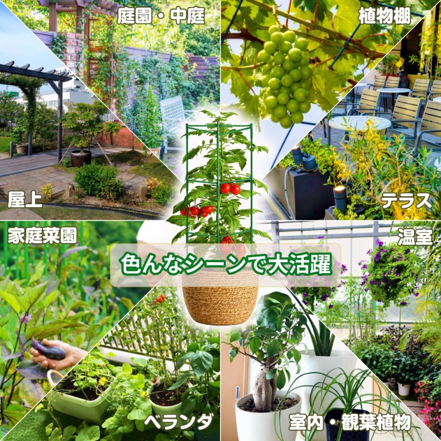 オベリスク 支柱 園芸 トマトケージ 6個セット つる性 観葉植物 誘引