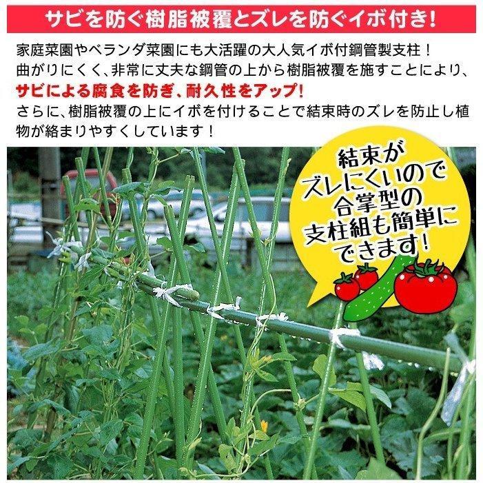 国華園 即納 園芸 支柱 Φ20mm×210cm 50本 連結式イボ支柱 イボ付き鋼管