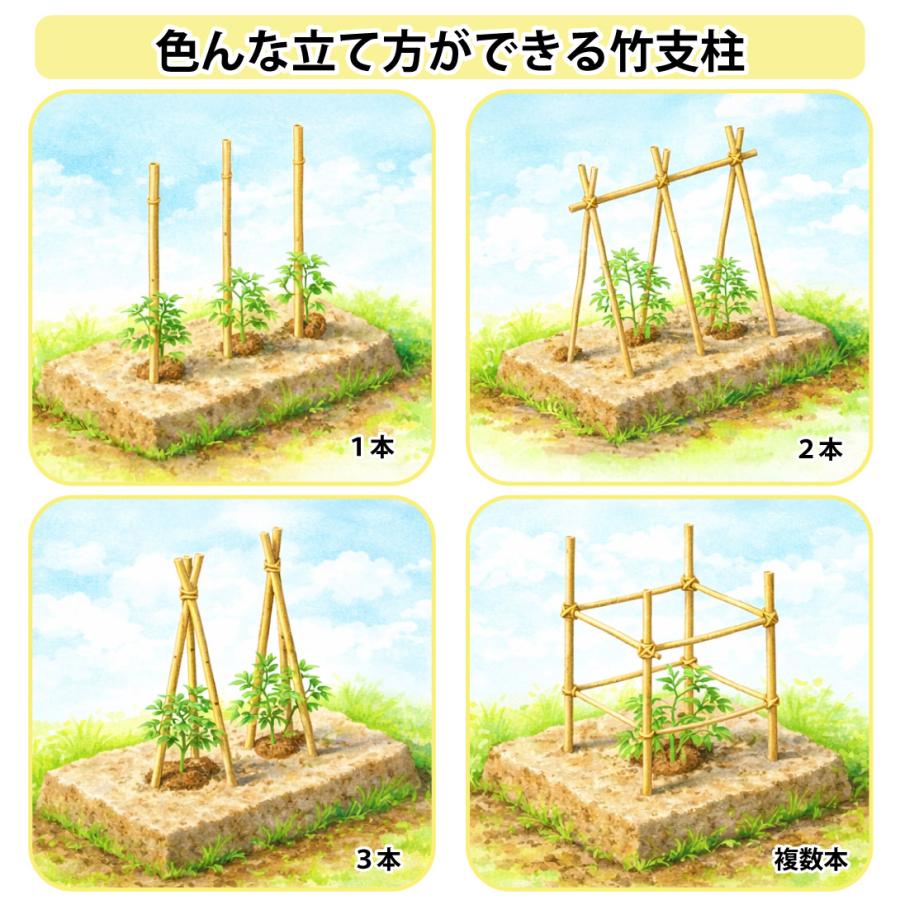 園芸 支柱 竹 12~15mm 180cm 25本 天然竹 女竹 トマト キュウリ 個人宅