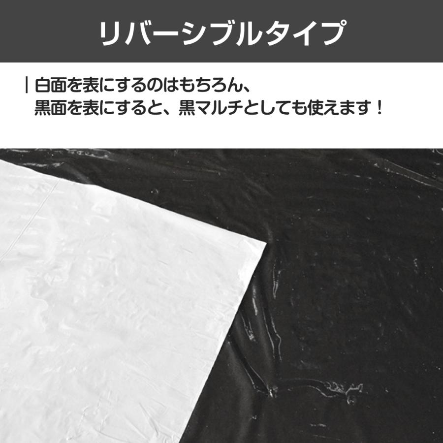 Kmaster 国華園 農業用マルチシート 農ポリ 白黒マルチ 0.95×10m 1枚