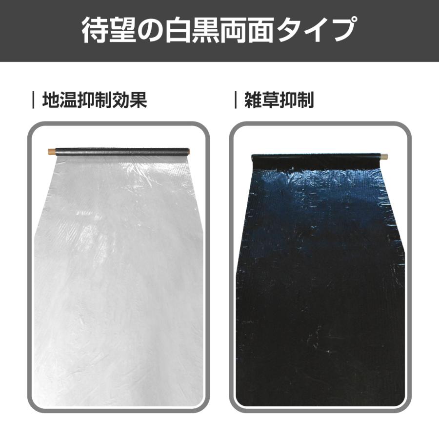 Kmaster 国華園 農業用マルチシート 農ポリ 白黒マルチ 1.35×10m 1枚
