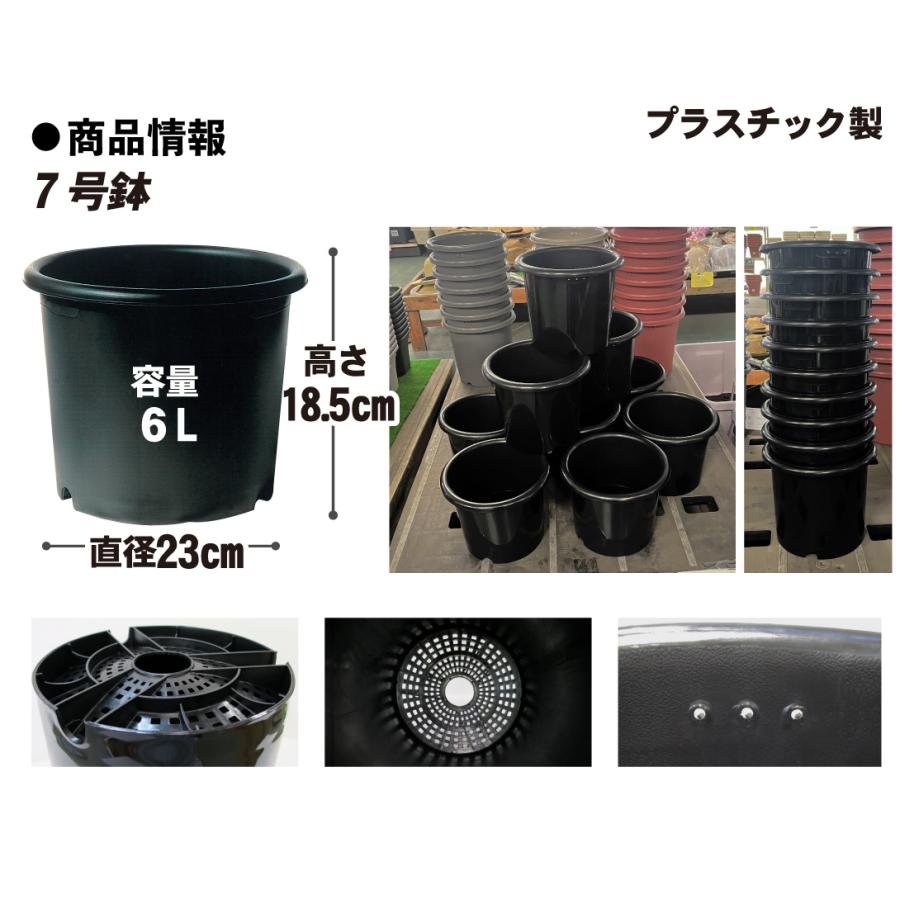 国華園 プレミアム鉢 7号 10個 日本製 プラスチック 上質 ブラック