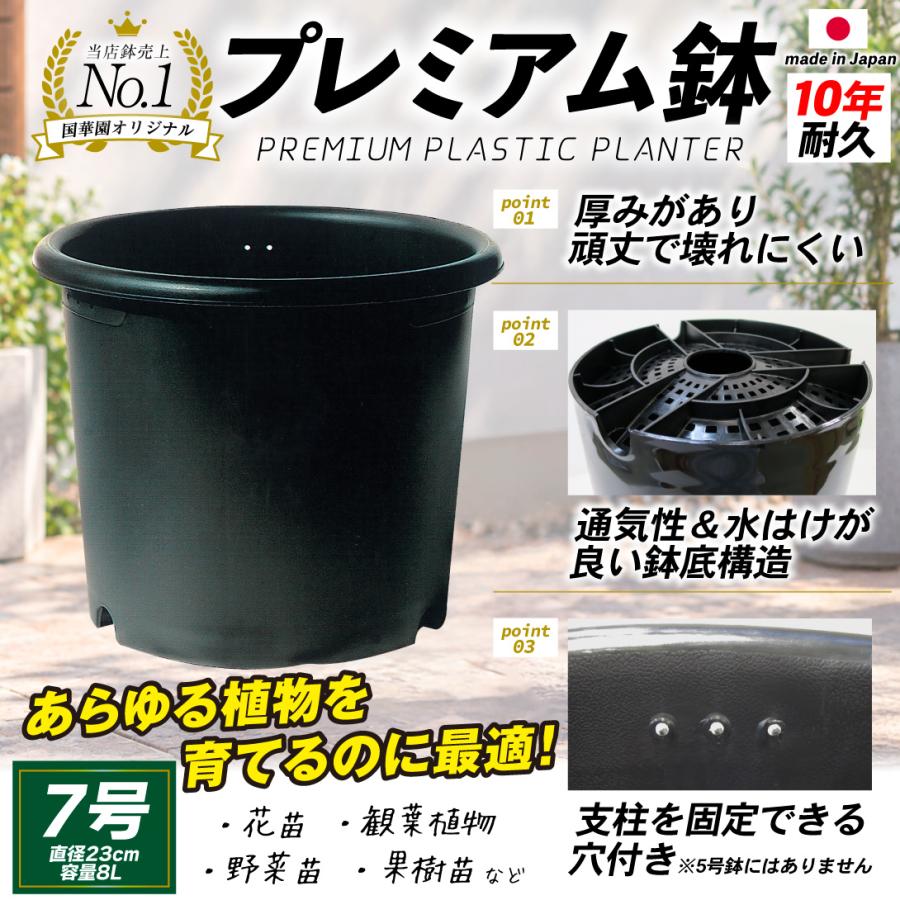 国華園 プレミアム鉢 7号 10個 日本製 プラスチック 上質 ブラック