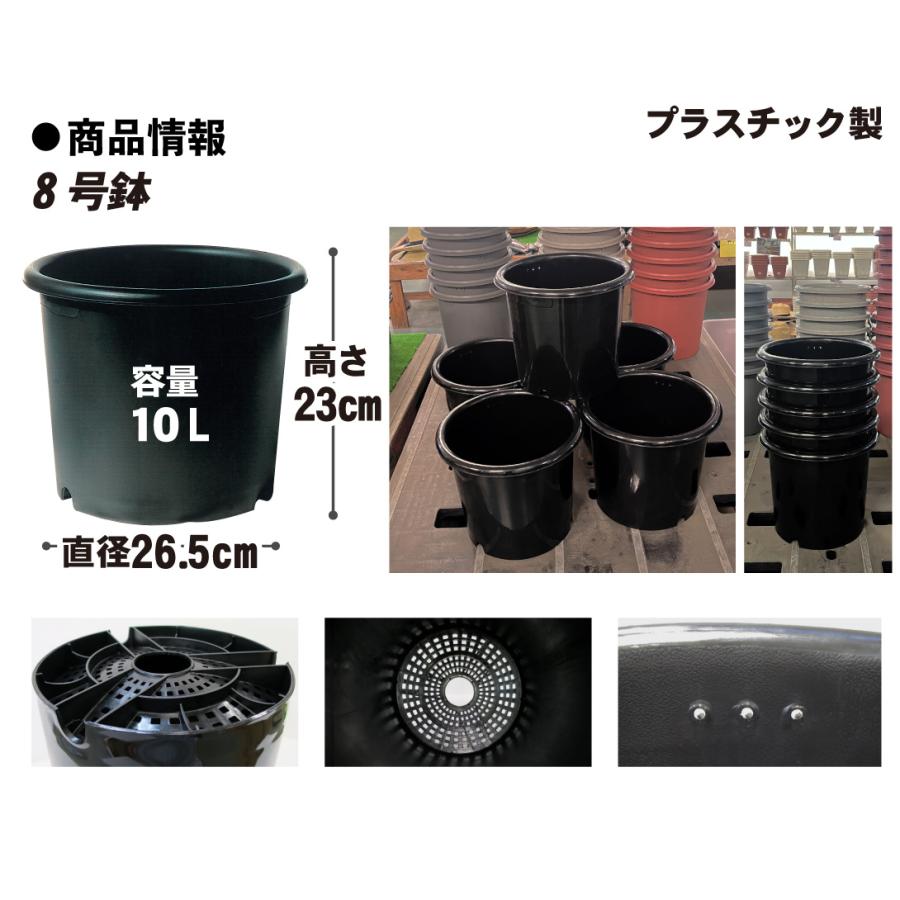 国華園 プレミアム鉢 8号 5個 日本製 プラスチック 上質 ブラック 支柱