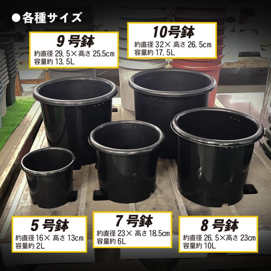 国華園 プレミアム鉢 8号 5個 日本製 プラスチック 上質 ブラック 支柱