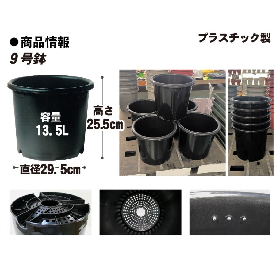 国華園 プレミアム鉢 9号 5個 日本製 プラスチック 上質 ブラック 支柱