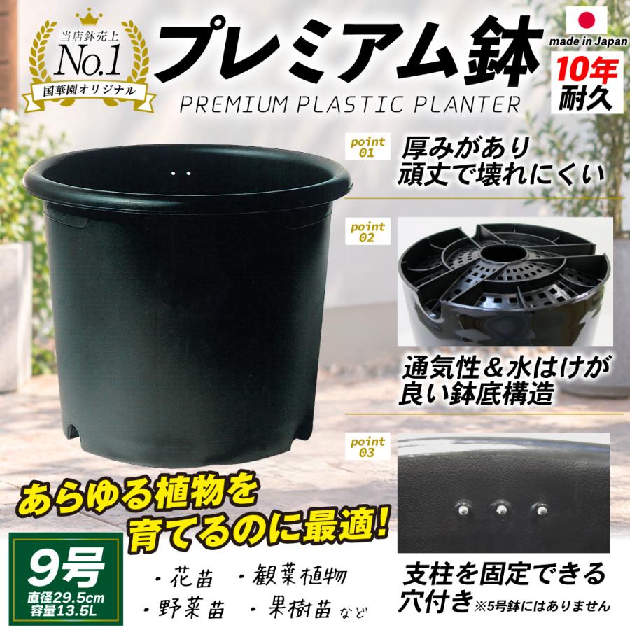 国華園 プレミアム鉢 9号 5個 日本製 プラスチック 上質 ブラック 支柱