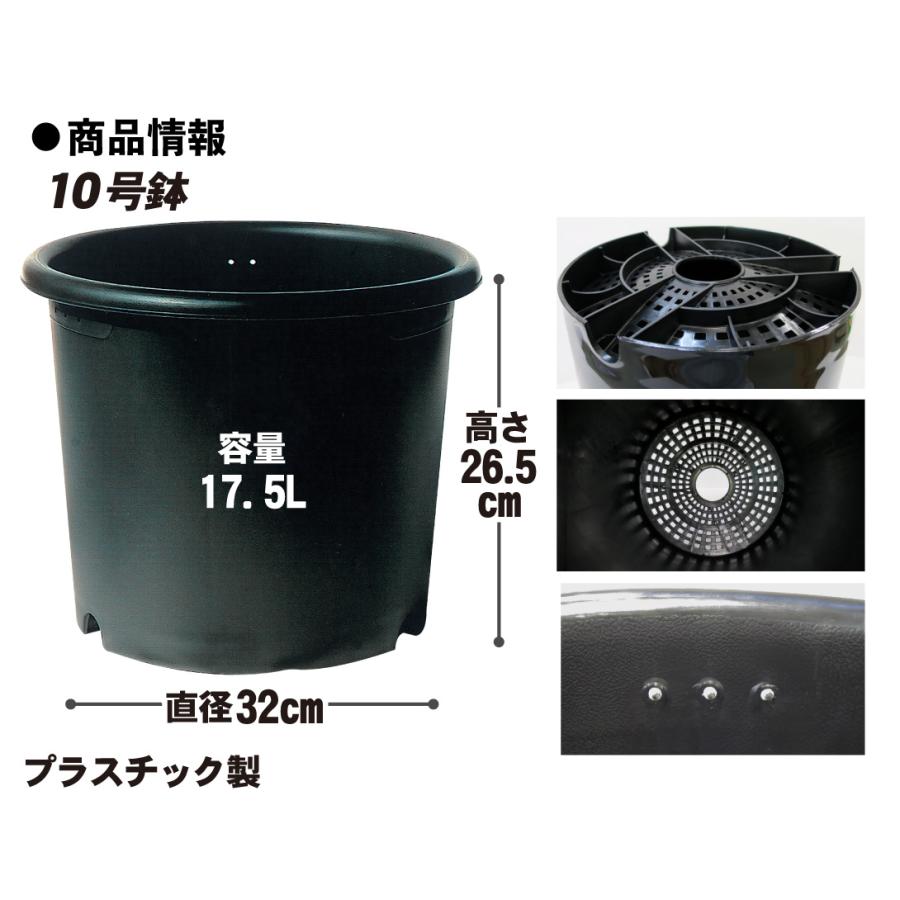 国華園 プレミアム鉢 10号 5個 日本製 プラスチック 上質 ブラック