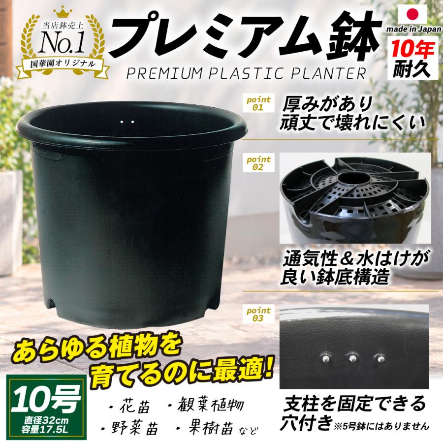 国華園 プレミアム鉢 10号 5個 日本製 プラスチック 上質 ブラック