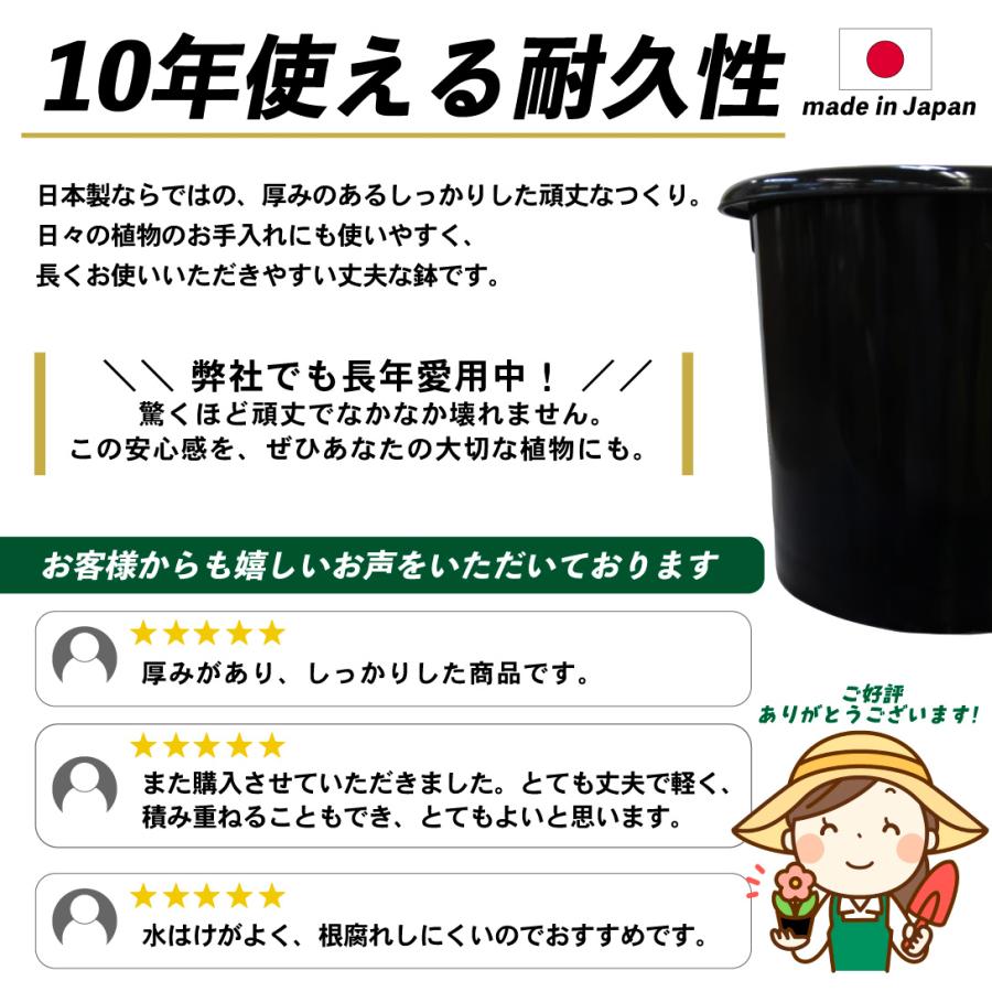 国華園 プレミアム鉢 10号 5個 日本製 プラスチック 上質 ブラック