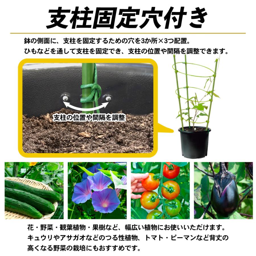 国華園 プレミアム鉢 10号 5個 日本製 プラスチック 上質 ブラック