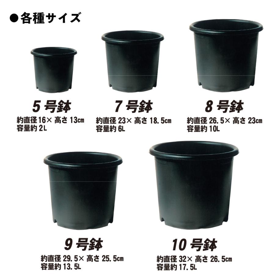 国華園 プレミアム鉢 10号 5個 日本製 プラスチック 上質 ブラック