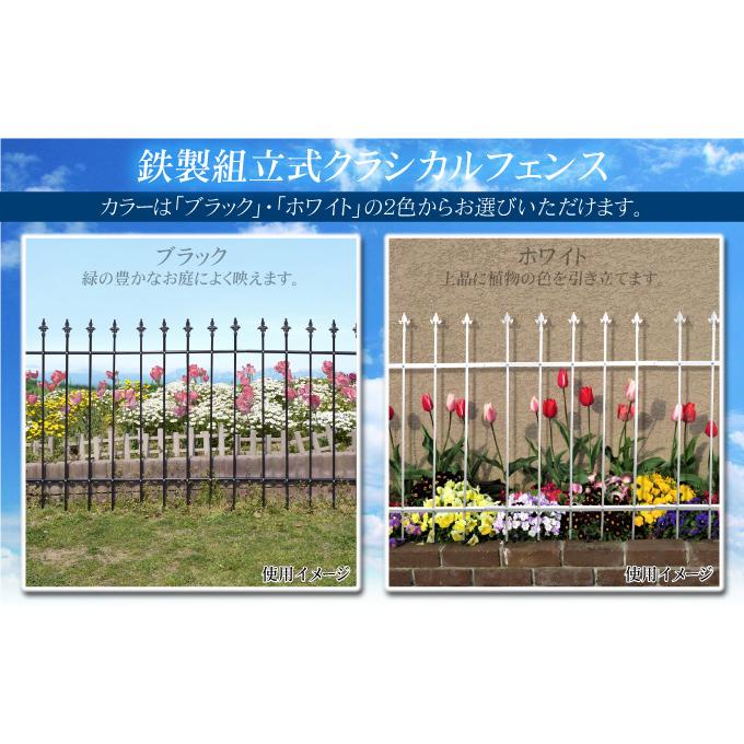 ガーデン フェンス 鉄製 組立式 クラシカルフェンス 白 3枚組 幅234