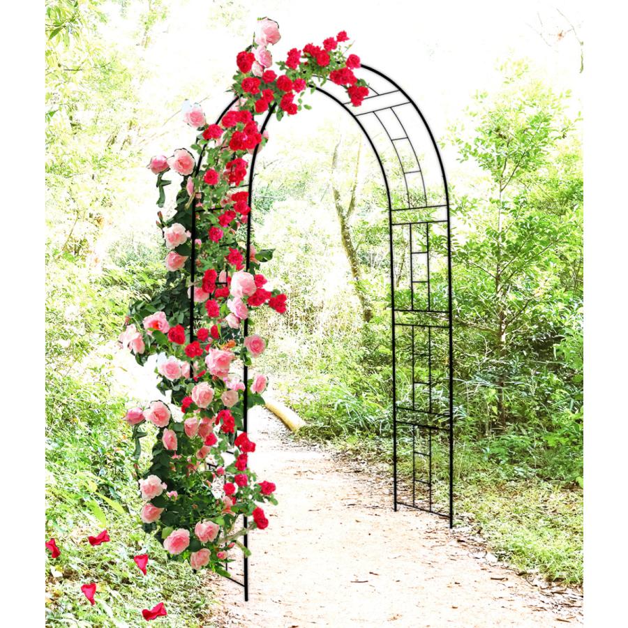 アーチ ガーデンアーチ ローズアーチ バラアーチ フラワーアーチ 鉄製アーチ マルム 黒 1個 ガーデニング 庭 玄関 門 つるバラ 薔薇 おしゃれ 園芸 国華園 Sa3351 花と緑 国華園 通販 Yahoo ショッピング
