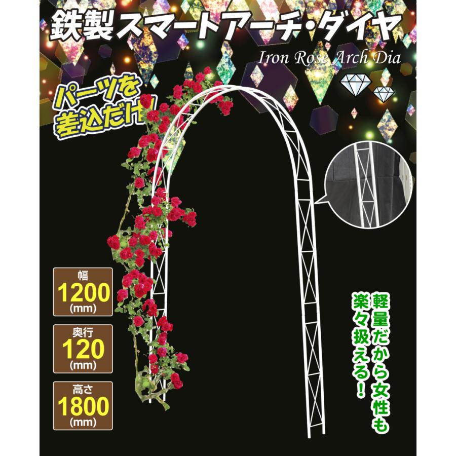 アーチ ガーデンアーチ ローズアーチ バラアーチ 鉄製スマートアーチ ダイヤ 1個 幅120・奥行12・高さ180 ガーデニング 庭 玄関 門 つるバラ 薔薇 国華園 :sa3353:花と緑 国華園 - 通販 - Yahoo!ショッピング アーチ ガーデンアーチ ローズアーチ バラアーチ 鉄製スマートアーチ ダイヤ 1個 幅120・奥行12・高さ180 ガーデニング 庭 玄関 門 つるバラ 薔薇 国華園 :sa3353:花と緑 国華園 - 通販 - Yahoo!ショッピング