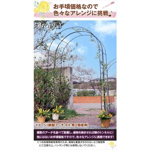 アーチ ガーデンアーチ ローズアーチ バラアーチ 鉄製アーチEX黒 2個 アイアン ガーデニング 幅140・奥行40・高さ240 庭 玄関 門 花 つるバラ 薔薇 園芸 国華園｜kokkaen｜03