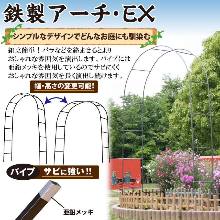 アーチ 鉄製 アーチEX 黒 1個 幅140 奥行40 高さ240 アイアン ガーデン