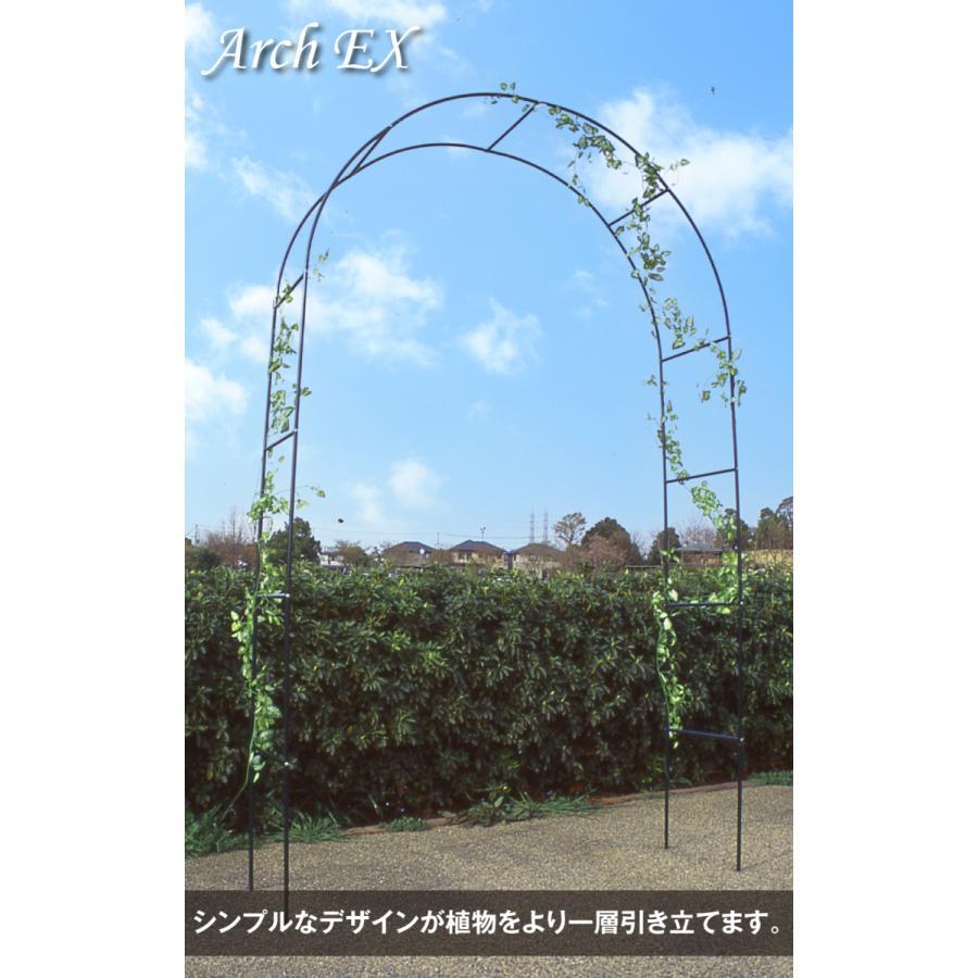 アーチ 鉄製 アーチEX 黒 1個 幅140 奥行40 高さ240 アイアン ガーデン