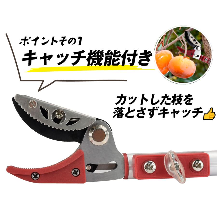 高枝切りバサミ 最長3m 剪定鋏 超軽量 伸縮式 4段階 ノコギリ 高枝切