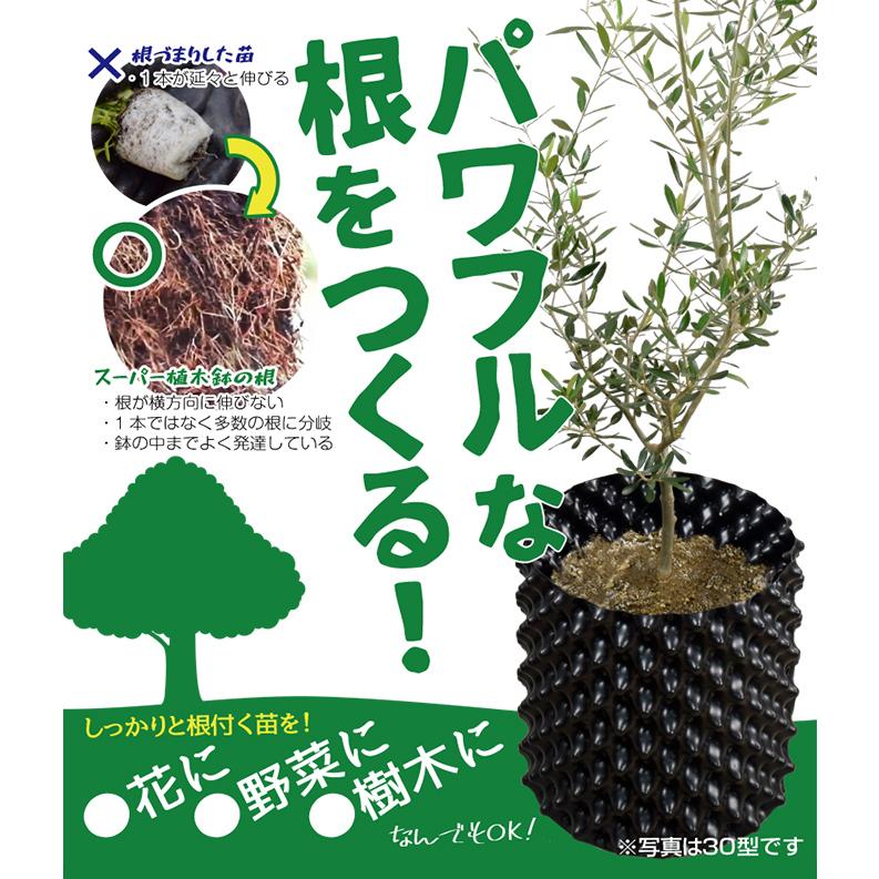 国華園 鉢 植木鉢 置き場 プランター 根の張るスーパー植木鉢 50型 5個