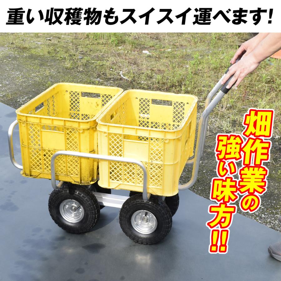 伸縮 アルミカート 国華園 伸縮式アルミハウスカー 台車 アルミ台車 1台 コンテナカート