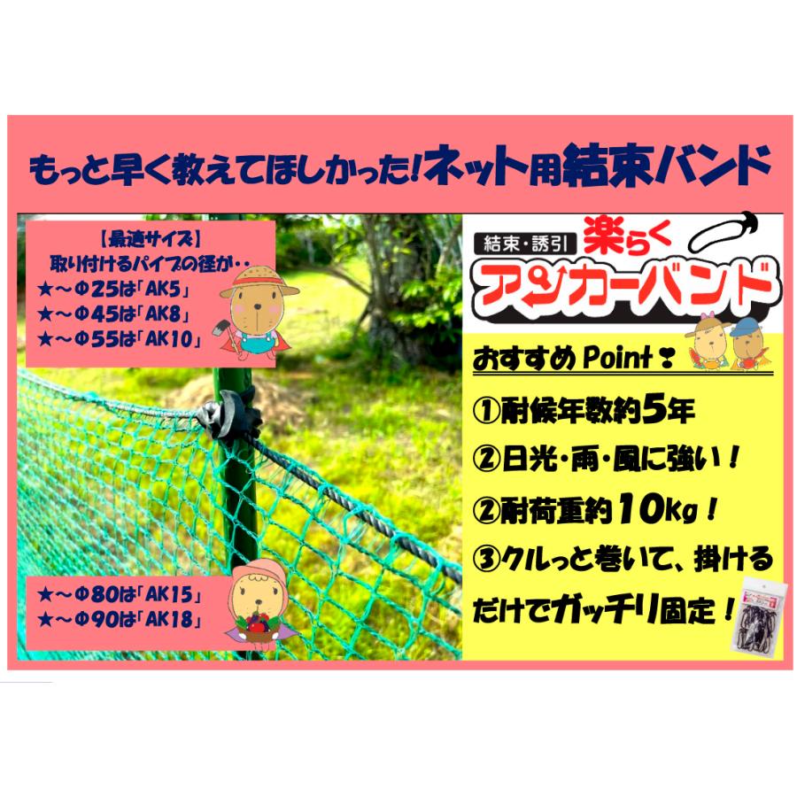 国華園 誘引クリップ 支柱結束 誘引 ひも 楽らくアンカーバンド 250g