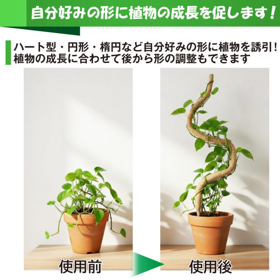 ココヤシ 約60cm 国華園 ココスティック 60cm 2本組 ココナッツ ココヤシ 繊維 曲げ