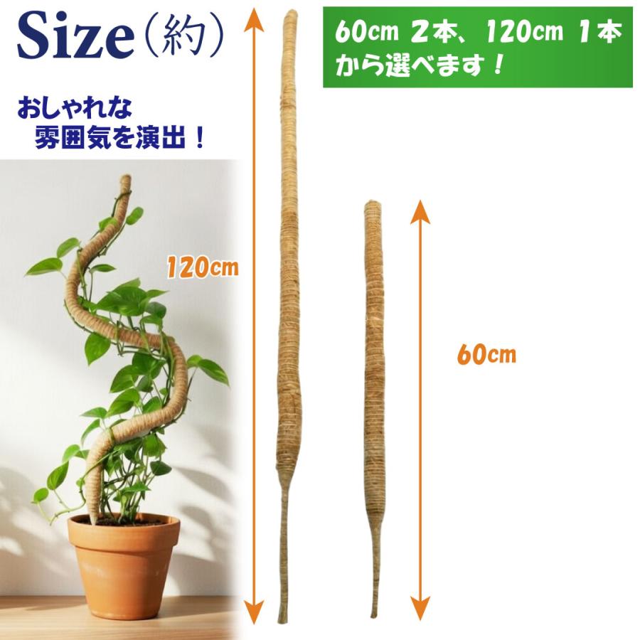 ココヤシ 約60cm 国華園 ココスティック 60cm 2本組 ココナッツ ココヤシ 繊維 曲げ