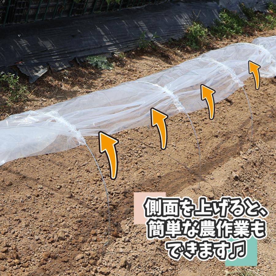 値下げ。トンネル栽培などに20本が75束分まとめて、2万円 値下げ。トンネル栽培などに20本が75束分まとめて、2万円