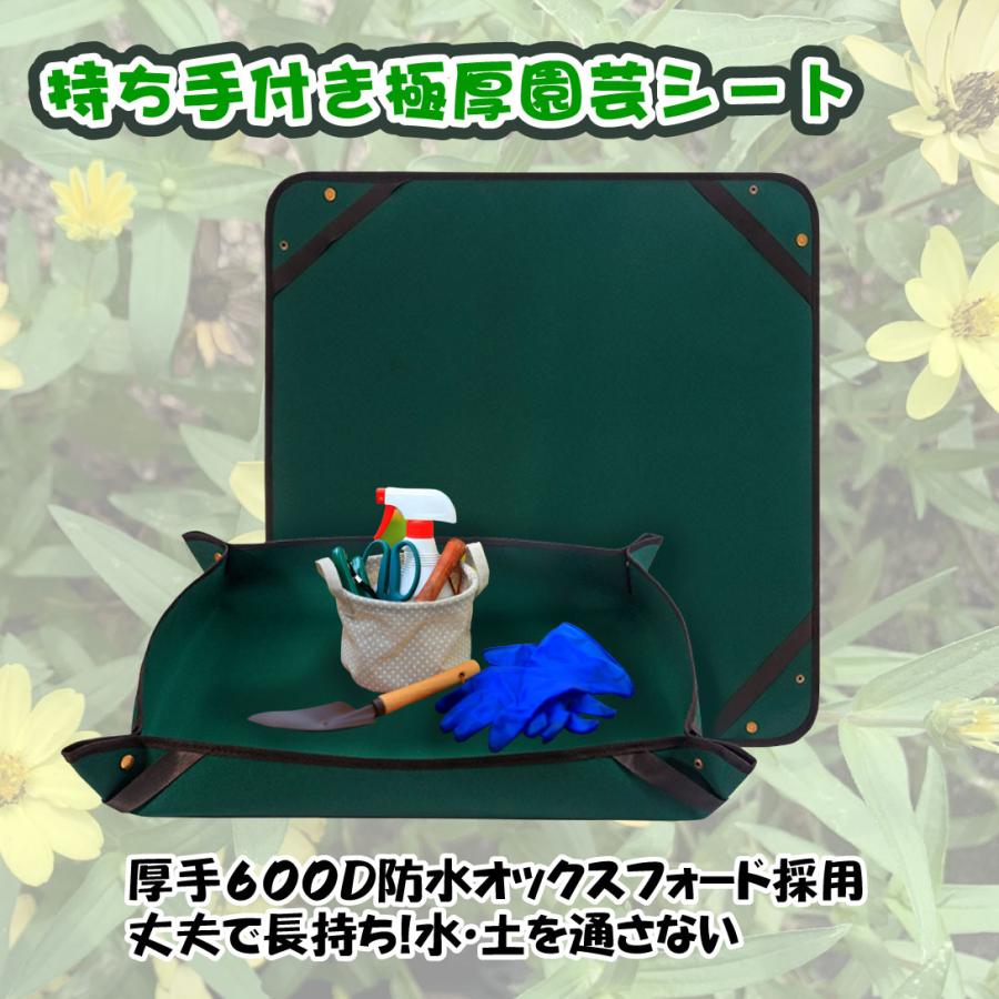 植物標本ワンタッチシート Recommended for summer vacation independent research projects