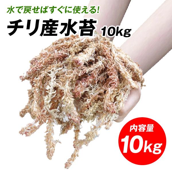 国華園 即納 水苔 水ごけ 5kg チリ産 5kg×2袋1組（合計約10kg） 盆栽