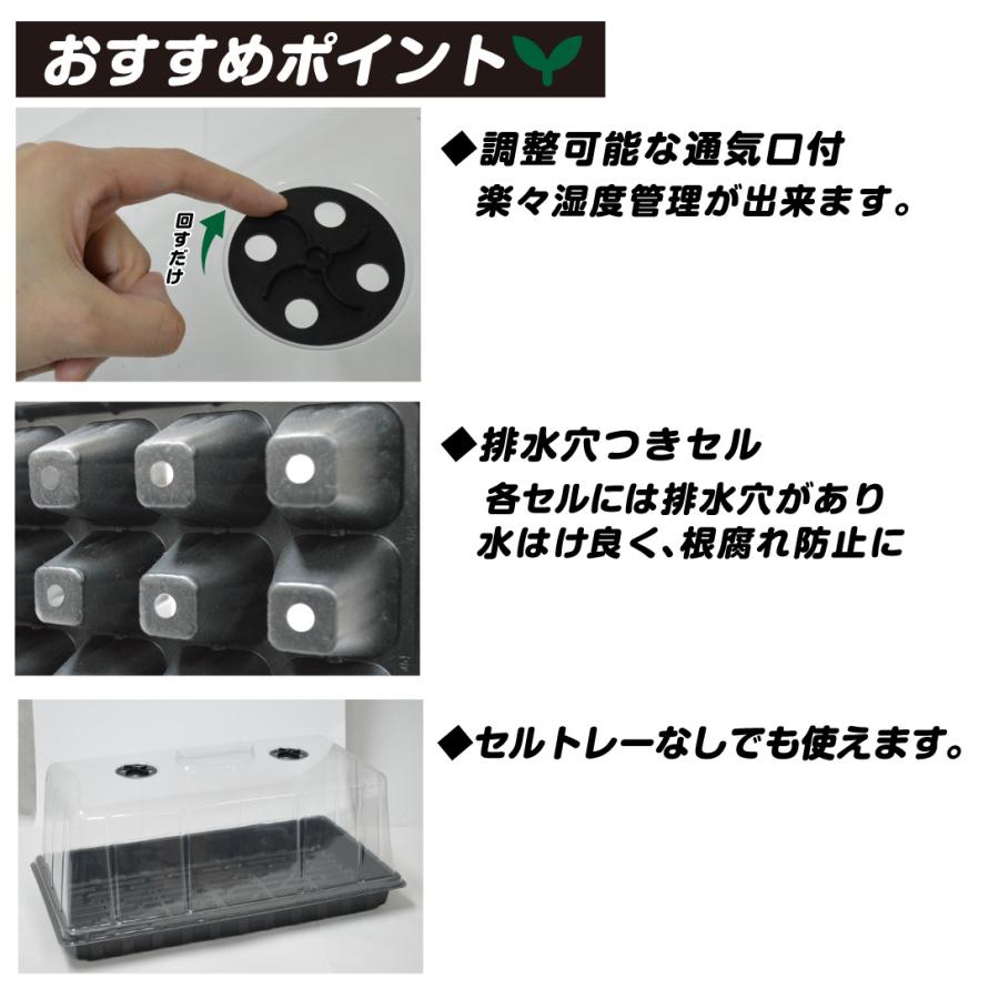国華園 育苗ポット 3点セット 蓋付き 50穴 通気口 育苗トレイ 苗箱