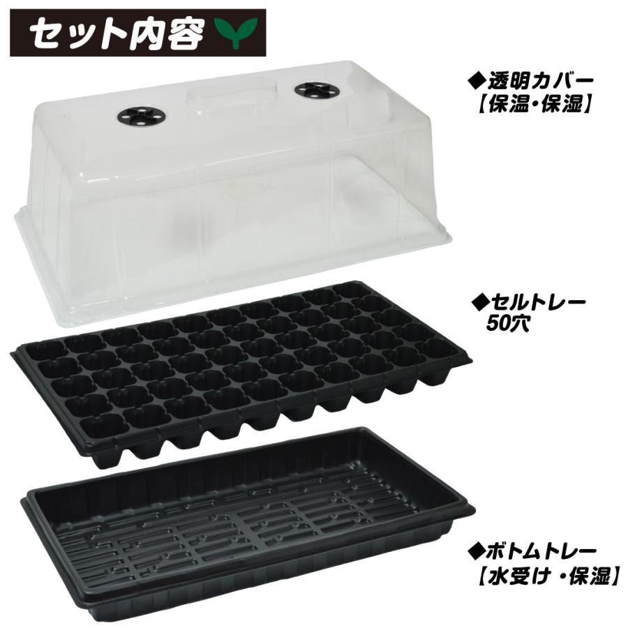 国華園 育苗ポット 3点セット 蓋付き 50穴 通気口 育苗トレイ 苗箱