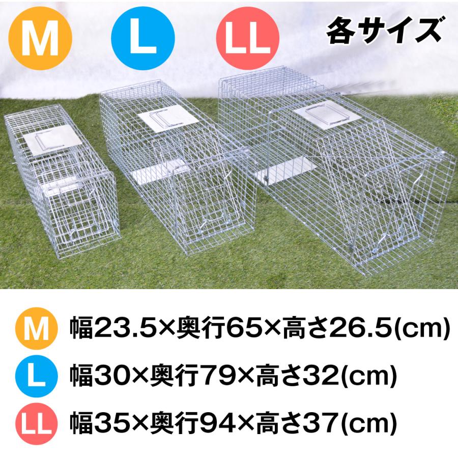国華園 箱罠 捕獲器 猫 捕獲機 アニマルトラップ 動物捕獲器M 1個