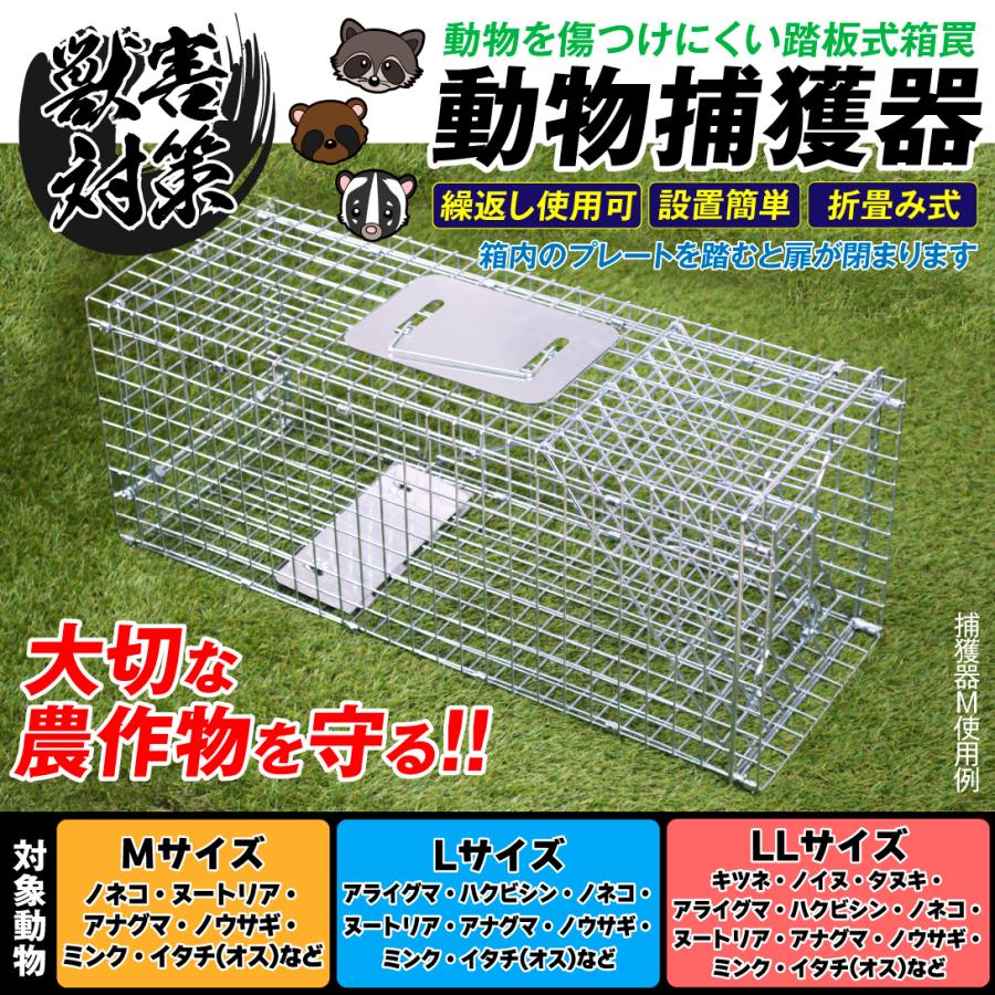箱罠 捕獲器 猫 捕獲機 アニマルトラップ 動物捕獲器LL 1個 トラップ