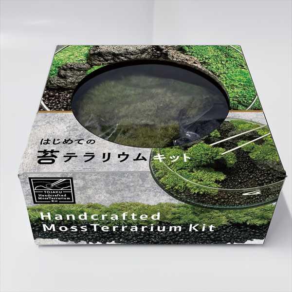 国華園 はじめての苔テラリウムキット 1個 手作り DIY 工作 ヤマゴケ
