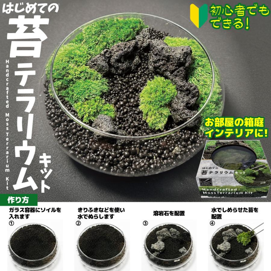 国華園 はじめての苔テラリウムキット 1個 手作り DIY 工作 ヤマゴケ