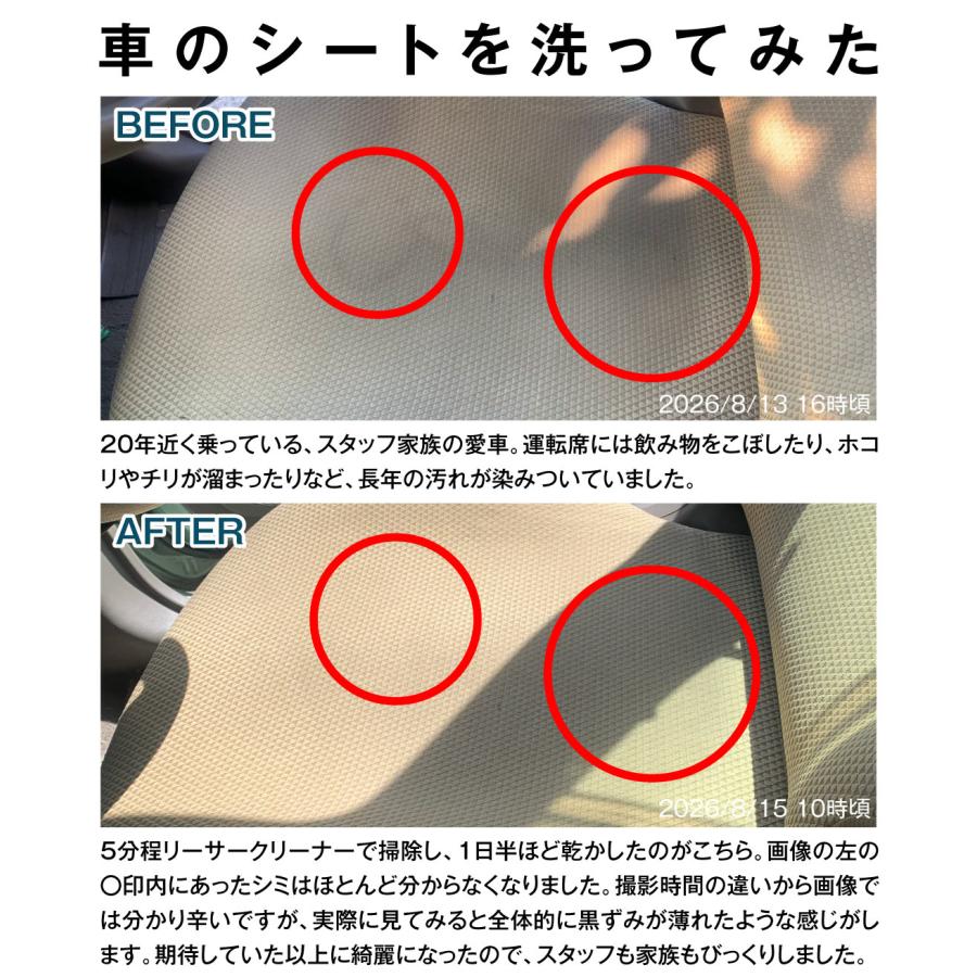 国華園 即納 カーペットクリーナー 車 絨毯 ソファ 布 洗浄機 掃除機