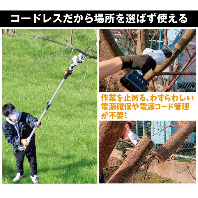 ノコギリ のこぎり 高枝 高枝切り 電動 充電式 20V 伸縮式 軽量 剪定 高枝切鋏 ガーデニング 庭 枝切り ヘッジトリマー 充電式高枝ノコギリ 国華園｜kokkaen｜09