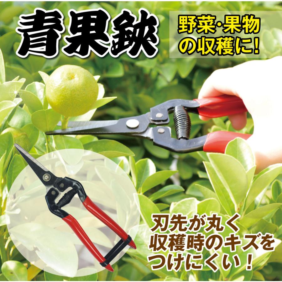☘️ 剪定バサミ 剪定ハサミ 剪定鋏 剪定はさみ 高枝切り ガーデニング 園芸用品 剪定はさみ プロ用 高級 剪定ばさみ DIY 農具 ハサミ 庭 ガーデニング