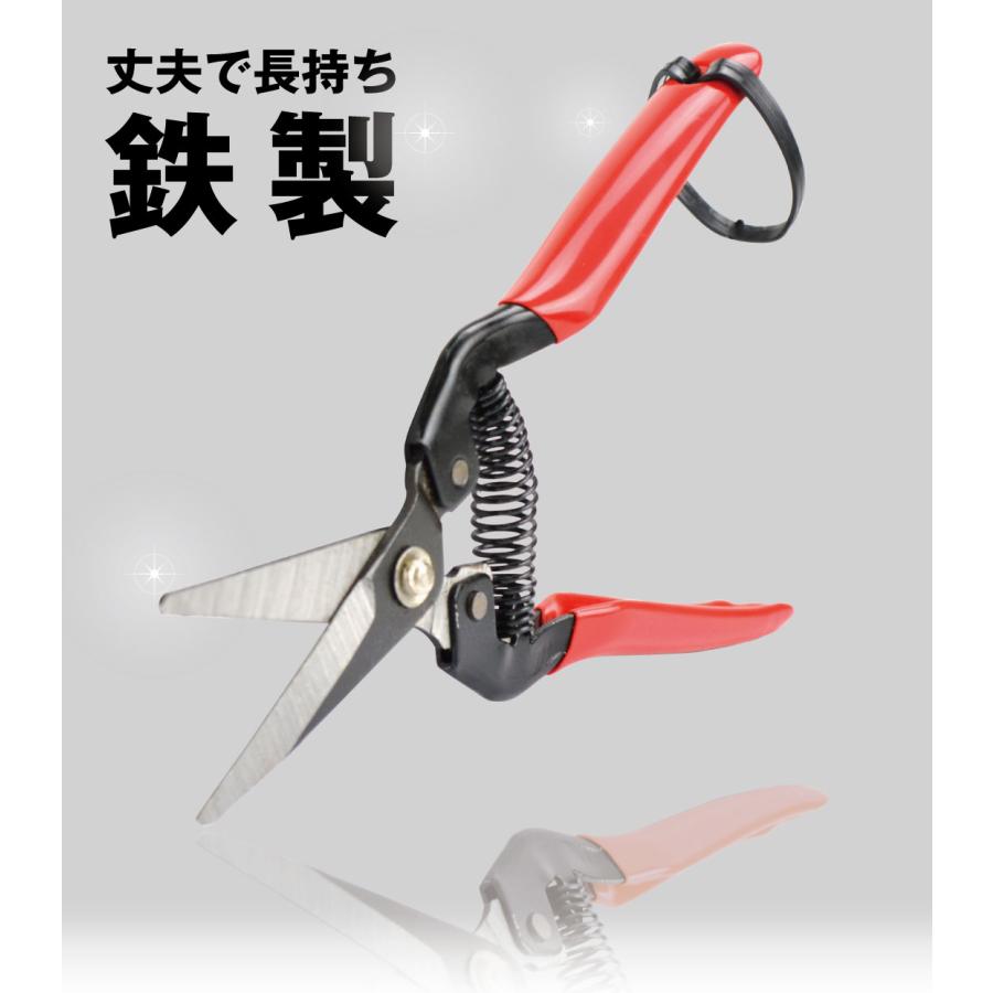 国華園 青果鋏 1個 剪定ばさみ ガーデニング 190mm 園芸鋏 ハサミ