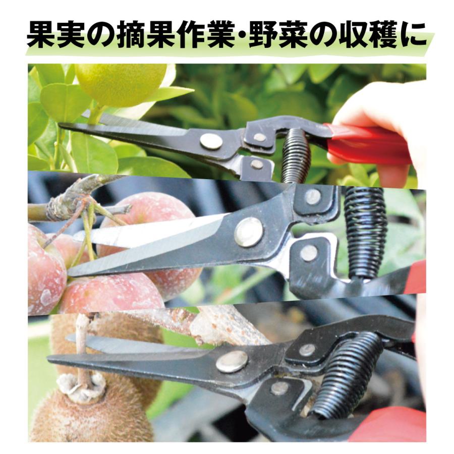 青果鋏 1個 剪定ばさみ ガーデニング 190mm 園芸鋏 ハサミ 庭園 軽い