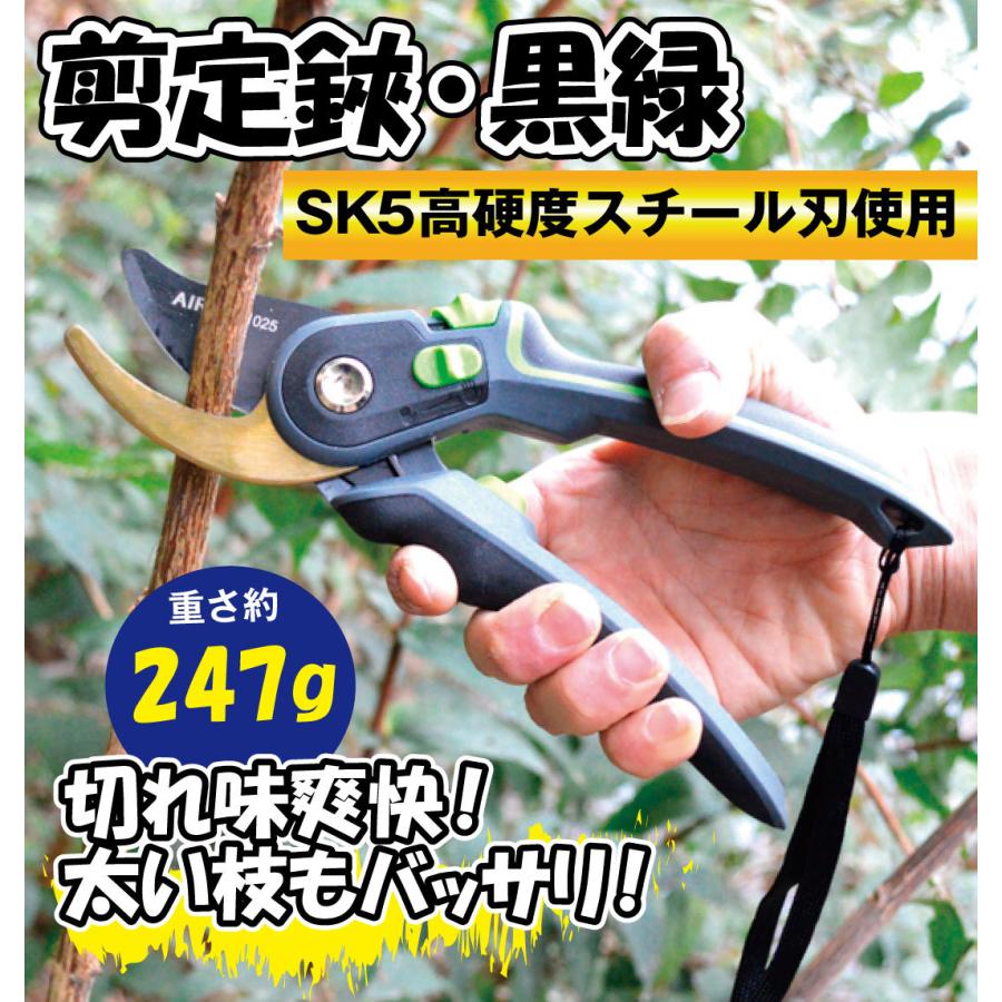 剪定鋏 黒緑 １個 高級 剪定ばさみ プロ 園芸はさみ バネ 園芸ハサミ 花用 花ばさみ さびない Sk5 園芸用はさみ 小型 剪定 国華園 Scs010 Sa6686 花と緑 国華園 通販 Yahoo ショッピング