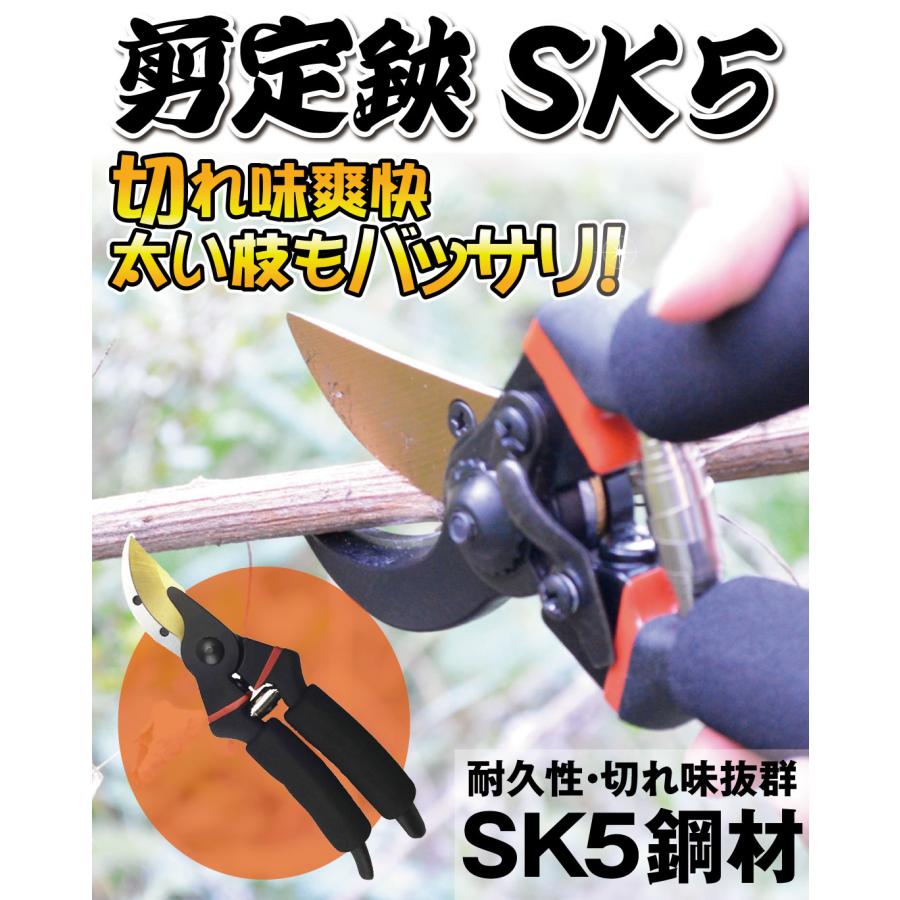 庭の剪定ばさみ果樹園の園芸鋏、庭の剪定ばさみ　お庭お手入れハサミ Amazon 園芸ハサミセット 剪定バサミ ムーングレイストア | 盆栽鋏・枝切り