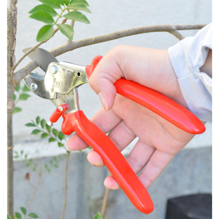 はさみ ハサミ 園芸はさみ 園芸ばさみ 園芸ハサミ 枝切鋏 1個 園芸
