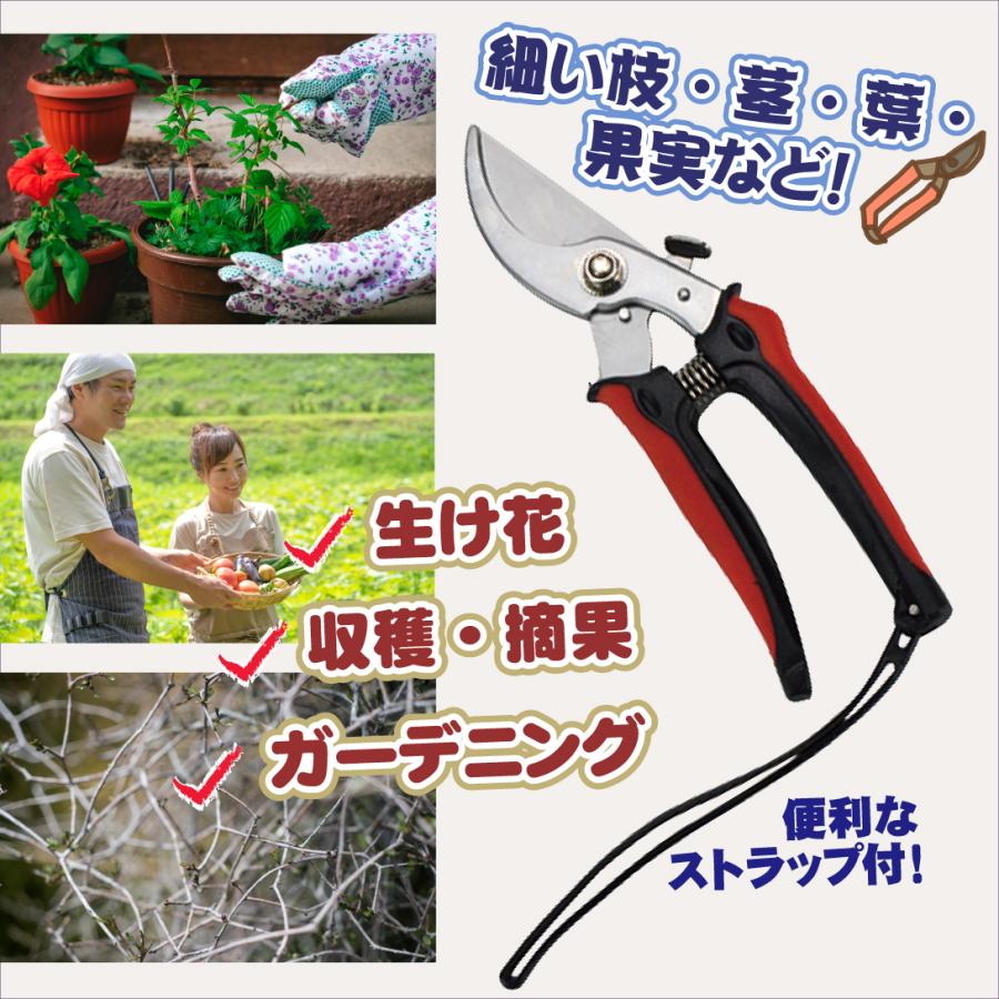 庭の剪定ばさみ果樹園の園芸鋏、庭の剪定ばさみ　お庭お手入れハサミ 剪定鋏 剪定ばさみ 園芸はさみ 園芸ハサミ ガーデニング鋏 剪定 1個