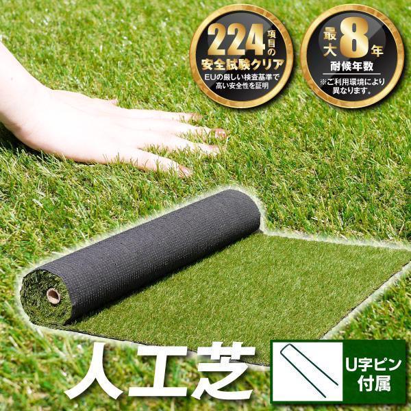 国華園 人工芝 人工芝ロール2×5ｍ shiba１個  U字固定 ピン 付属 芝生 芝 ベランダ バルコニー 爆買（Yahoo!・花と緑 国華園）