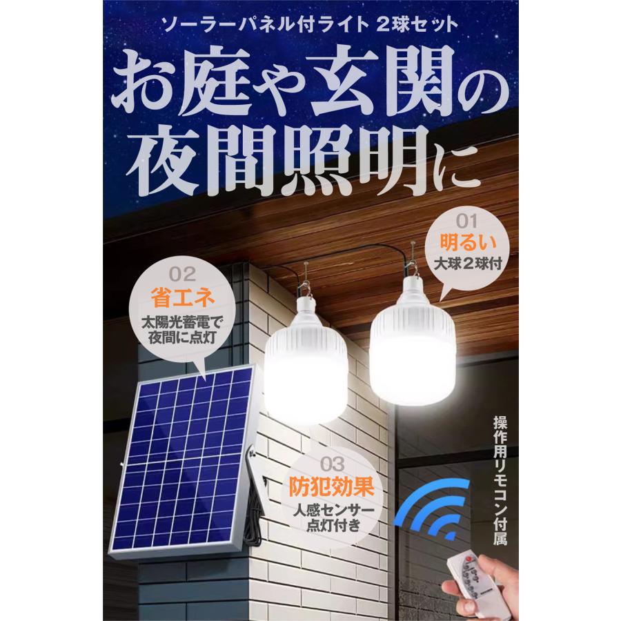 国華園 ソーラーパネル付ライト 2球 3mコード リモコン付き 照明 屋外
