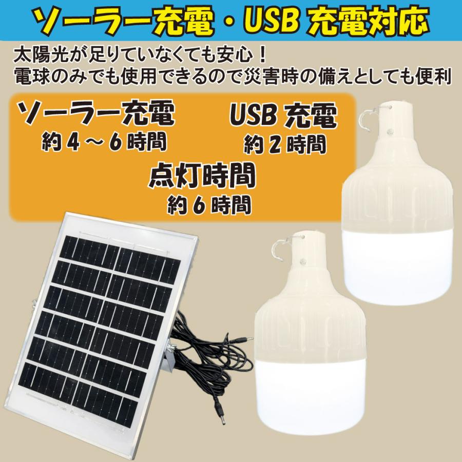 ソーラーパネル付ライト 2球 3mコード リモコン付き 照明 屋外灯