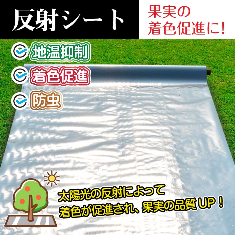 国華園 反射シート1.2×50m 1巻 反射フィルム アルミ 反射クロスシート
